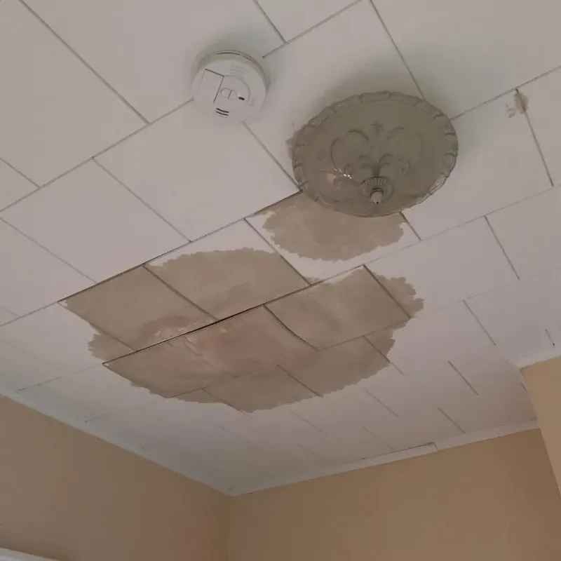 Ceiling Water Damage Repair in International Falls, MN