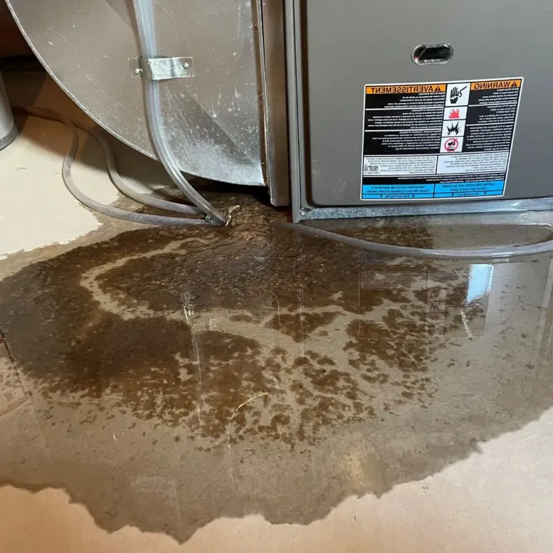 Pipe Burst and Leak Restoration in International Falls, MN